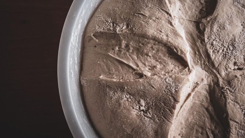 Dry yeast